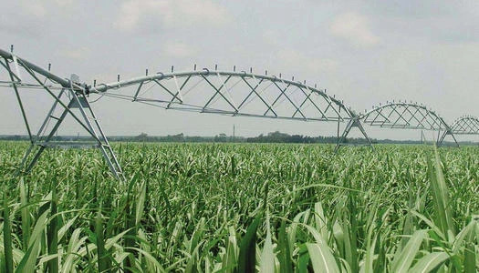 141D8B33-D1CC-4931-AD5A-64D3F23CDEF0.jpeg 141D8B33-D1CC-4931-AD5A-64D3F23CDEF0.jpeg