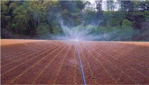 ABF7394F-C8F4-488D-8781-6C2B6EDCFF6C.jpeg ABF7394F-C8F4-488D-8781-6C2B6EDCFF6C.jpeg